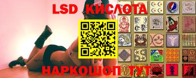 спиды Коммунар