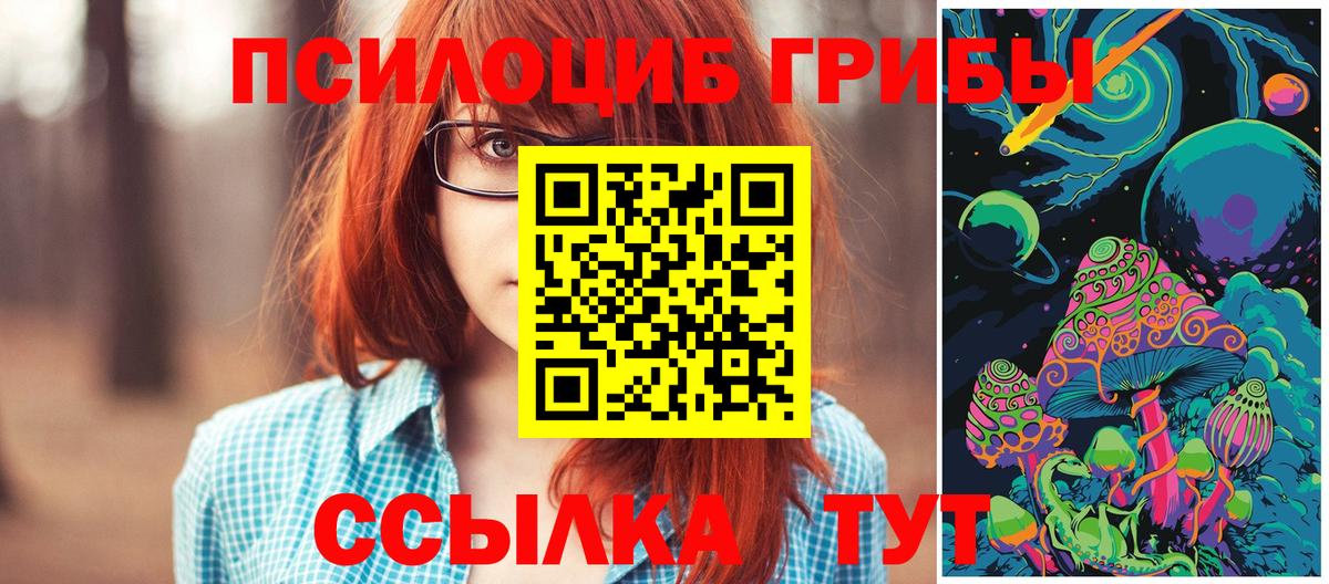 Галлюциногенные грибы прущие грибы Красноуфимск