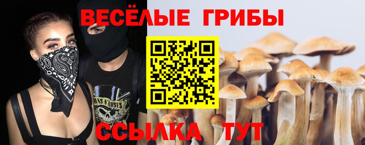 купить наркотики сайты  Галлюциногенные грибы GOLDEN TEACHER  Вход с VPN  Галлюциногенные грибы Psilocybe  Красноуфимск 